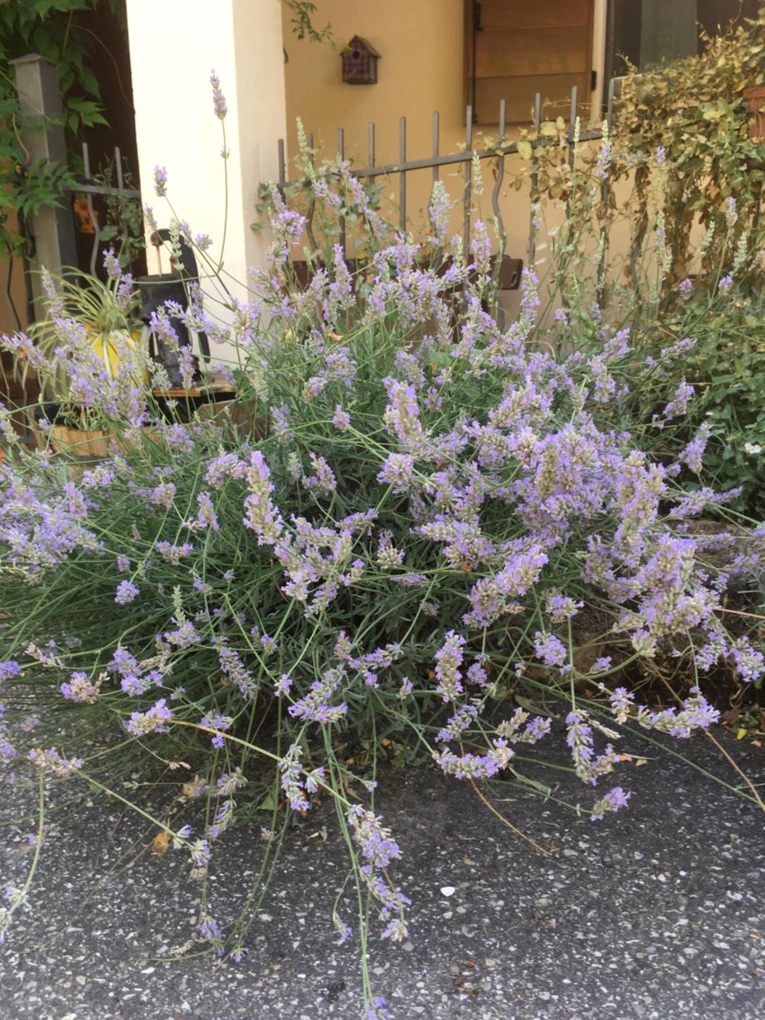 Sogliano al Rubicone B&B Ca Biocco المظهر الخارجي الصورة