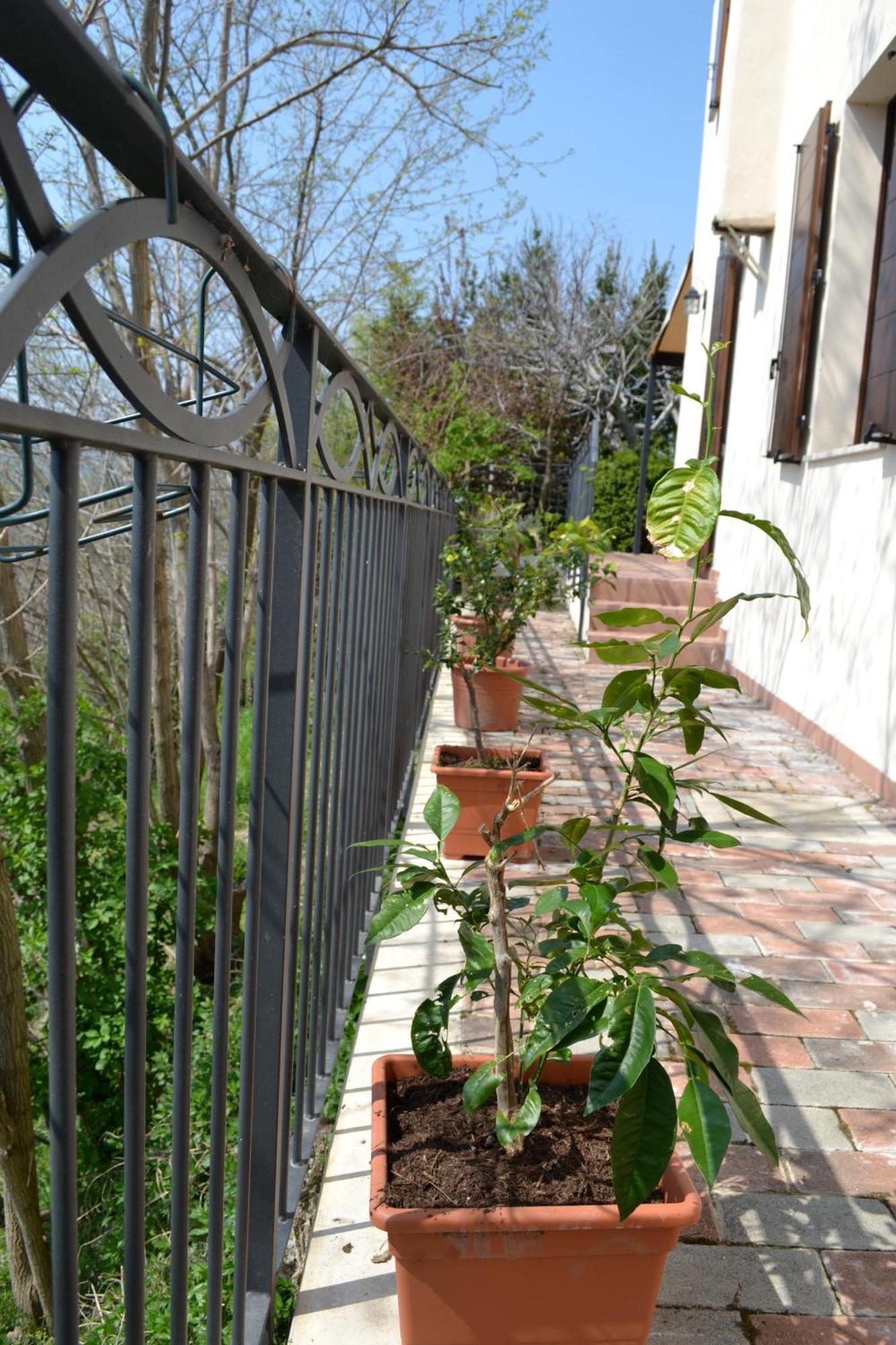 Sogliano al Rubicone B&B Ca Biocco المظهر الخارجي الصورة