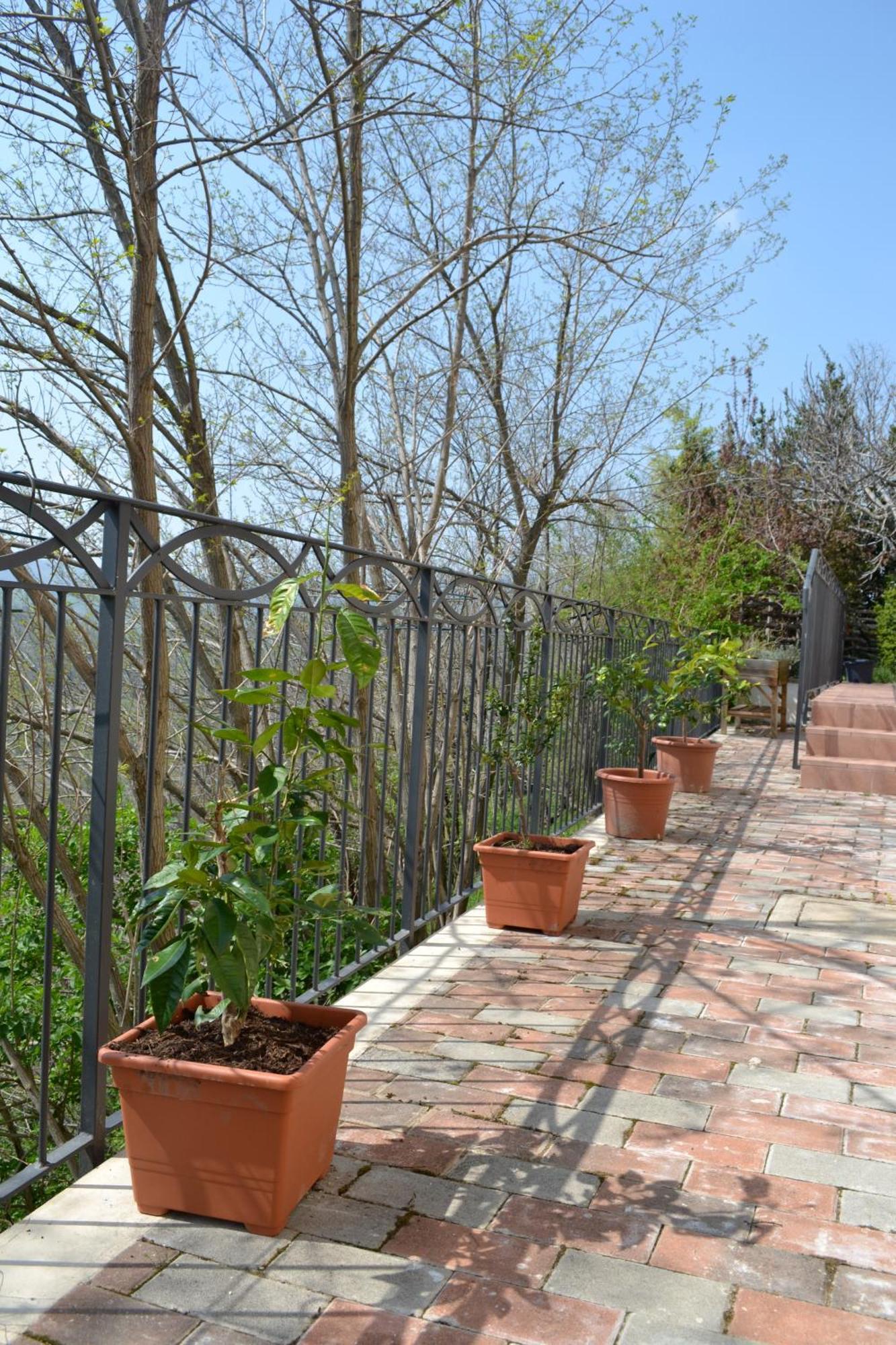 Sogliano al Rubicone B&B Ca Biocco المظهر الخارجي الصورة