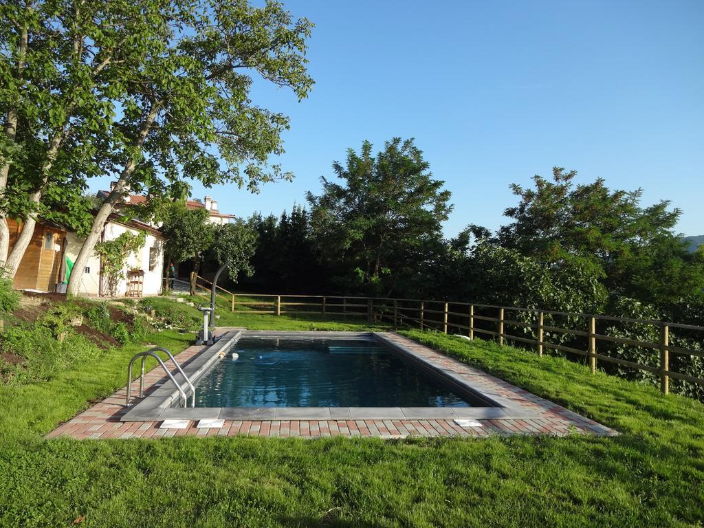 Sogliano al Rubicone B&B Ca Biocco الغرفة الصورة