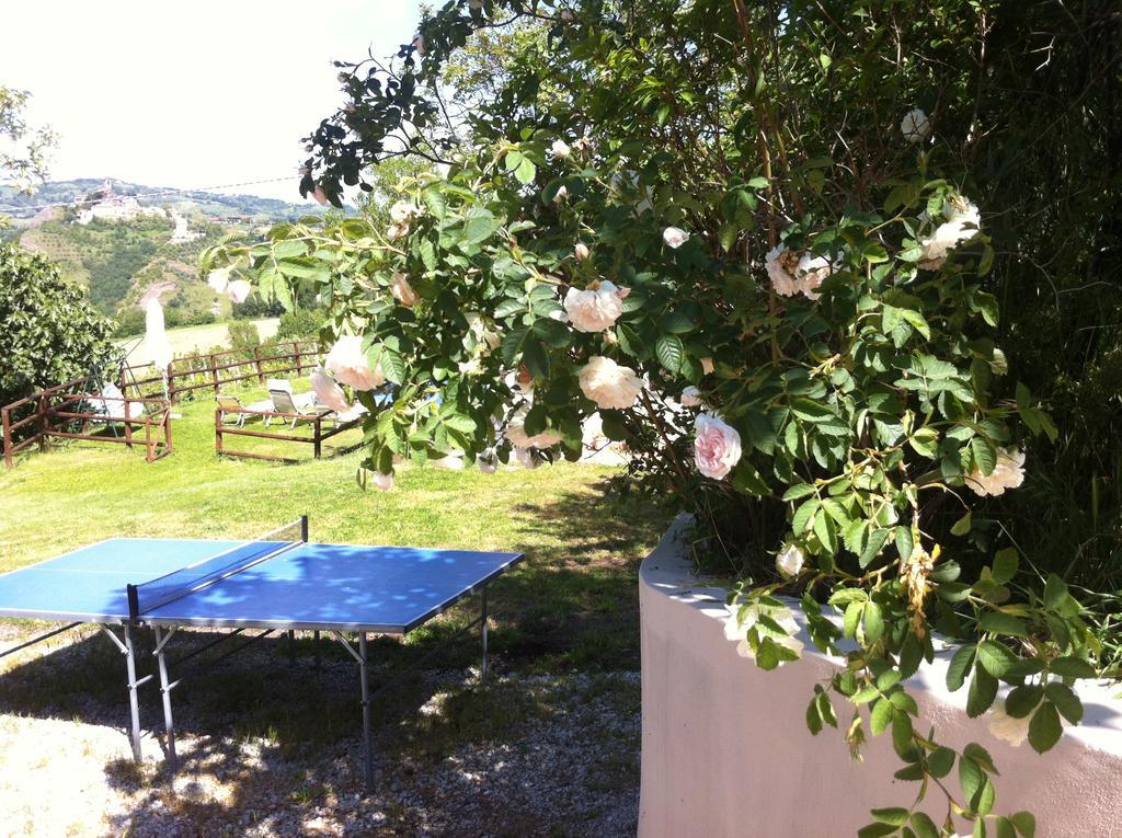 Sogliano al Rubicone B&B Ca Biocco المظهر الخارجي الصورة