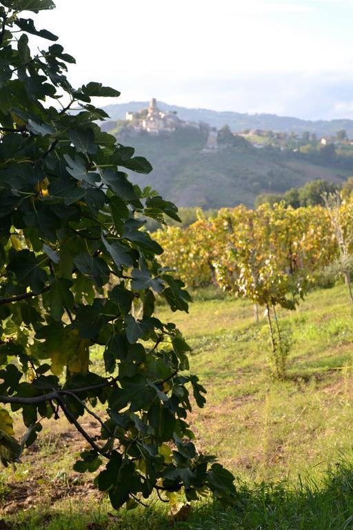 Sogliano al Rubicone B&B Ca Biocco المظهر الخارجي الصورة